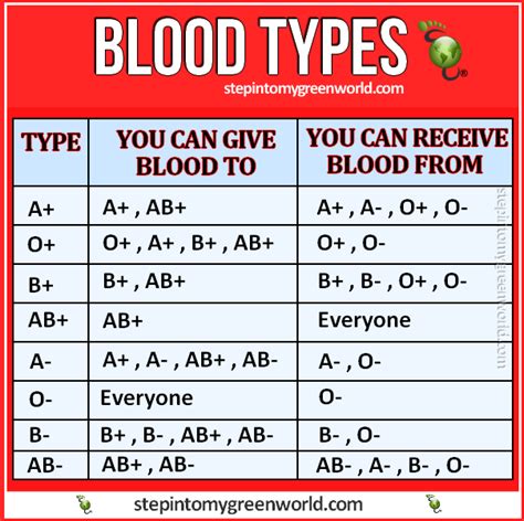 All You Need To Know About Blood Types And To Whom You Can Donate