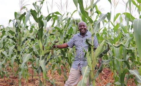 Kenyas Dryland Farmers Embrace Regenerative Farming To Brave Tough