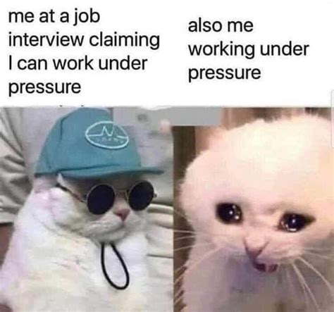 18 Work Memes For Miserable Cubicle Dwellers Funny Cat Memes Work