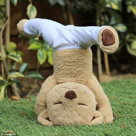 Shop gund and baby gund stuffed animals, teddy bears, and licensed plush. Pin von Monica Sharp auf Just thinking. | Teddybär bild ...