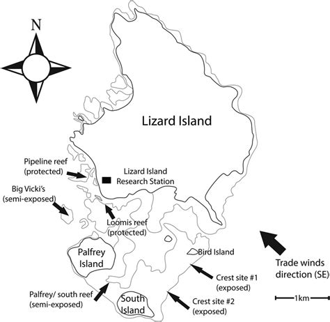 Map Of Lizard Island With Indication Of The Sites Used In The Course Of