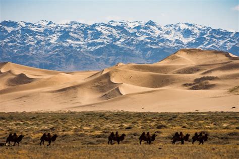 La Belleza De Mongolia