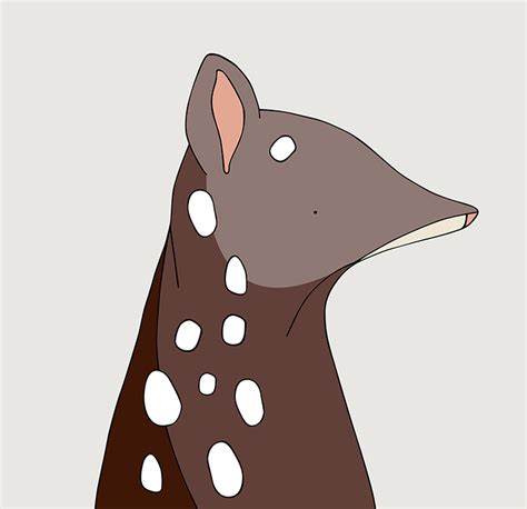 Spotted Tailed Quoll Eggpicnic