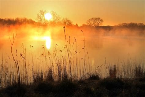 Misty Morning Sunrise By Robert Felton On 500px Nature Pictures