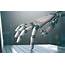 Are We Ready For Robotic Automation In Nigeria  Businessday NG