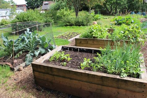 10 Functional And Productive Vegetable Garden Plans Insteading