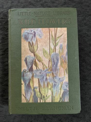 Wild Flowers Worth Knowing Little Nature Library By Neltje Blanchan