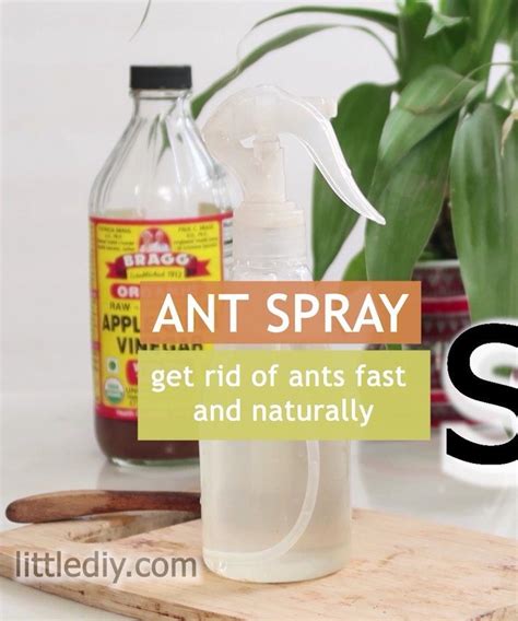 The pest control sprayers come in various sizes and can be used to spray various types of chemicals. ANT SPRAY- get rid of ants fast and naturally Vinegar is ...