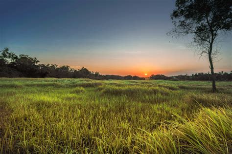Free Photo Landscape Photography Of Green Grass Field During Golden Hour Agriculture