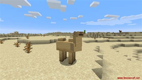You can tell a cat to sit and make it stay in one place, say, if you wanted an indoor cat to stay in your. Camels Mod 1.15.2/1.14.4 (Tame, Ride, Travel with Camels ...