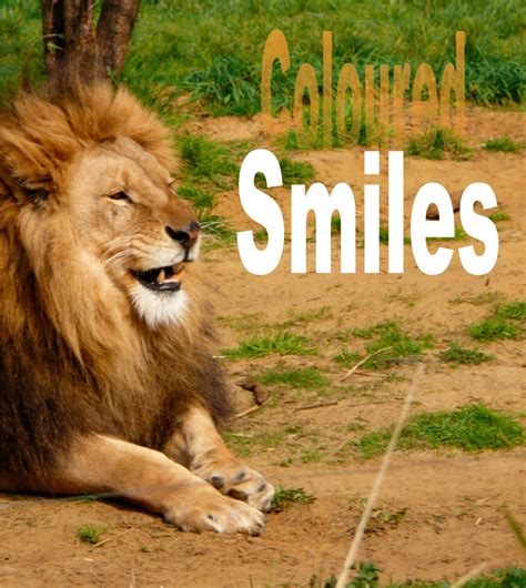 Coloured Smiles: The Deceitful Friend | LetterPile