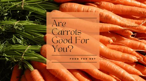 Are Carrots Good For You Food For Net