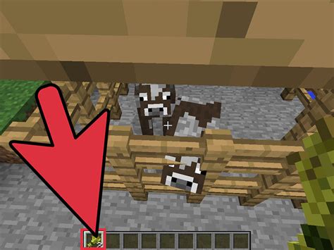 How Do You Tame And Breed Cows In Minecraft Rankiing Wiki Facts