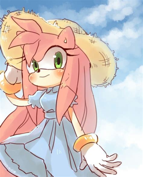 Pin By Pink Mochi On Amy Rose Amy Rose Amy The Hedgehog Sonic And Amy