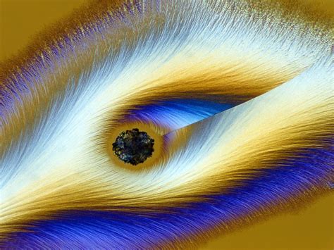 Hidden Universe Captured In Astonishing Detail By Winners Of Nikon