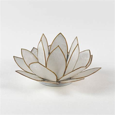 Lotos (botanik), eine pflanzengattung (umgangssprachlich lotus genannt). Lotosblüte Lotoslicht Nr.1 weiss, Klarheit Hellmann ...