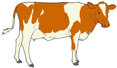 Filecow Clipart 01svg Wikimedia Commons