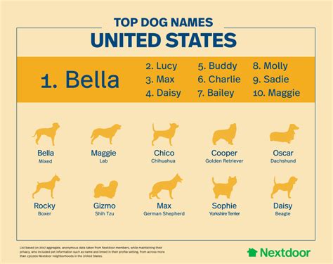 These Are The Most Popular Dog Names In America Nextdoor Blog