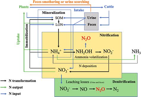 Frontiers Ch4 And N2o Emissions From Cattle Excreta A Review Of Main