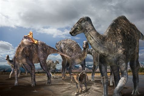First Confirmed Occurrence Of A Lambeosaurine Dinosaur Found On Alaska