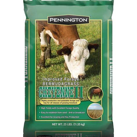Cheyenne Ii Bermuda Grass Seed Certified
