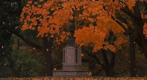 Pin by Celia Fox on Autumn/Halloween | Anime scenery, Nature gif, Gif