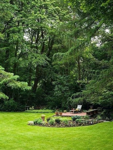 32 Landscape Ideas Wooded Backyard