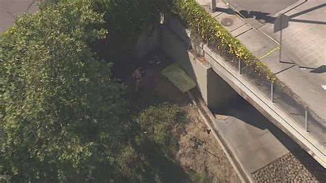 Body Found On Side Of 110 Freeway In South La Abc7 Los Angeles