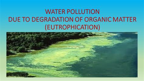 Water Pollution Due To Degradation Of Organic Matter And Eutrophication