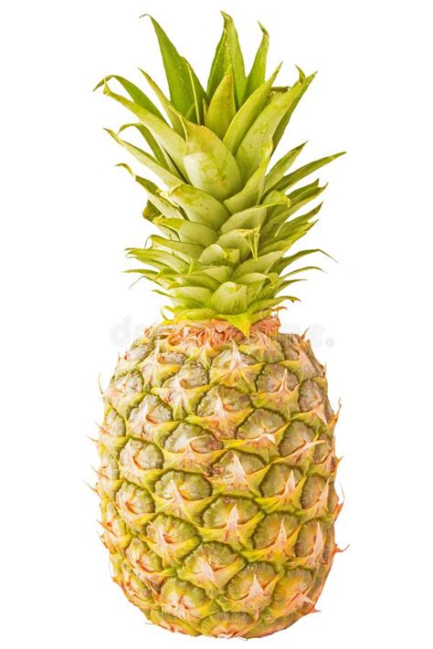 Single Pineapple Isolated On White Stock Photo Image Of Close Fresh