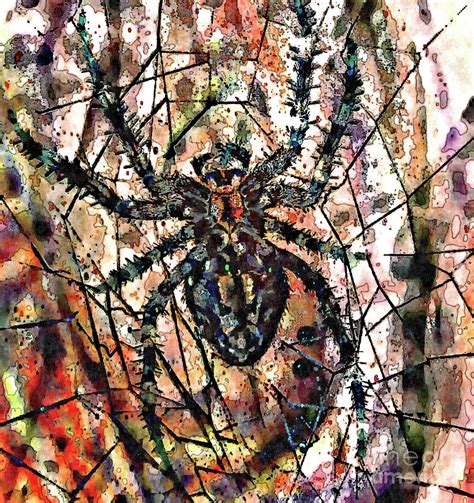 Abstract Spider Web Mixed Media By Jolanta Anna Karolska Pixels