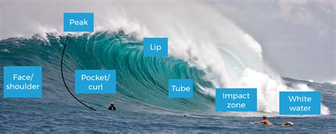 Wave Anatomy Surf Lessons In Perth Learn To Surf