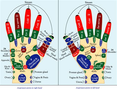 Chart And Techniques For Hand Reflexology And Massage Of Meridian Points Banoosh Hand