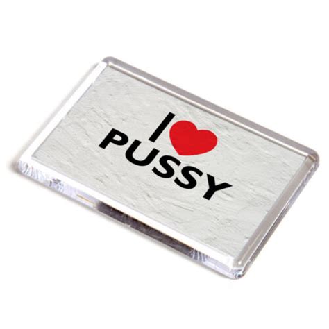 Fridge Magnet I Love Pussy Novelty T Ebay