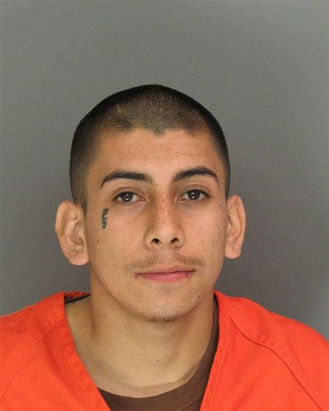 Arrests Made In Gang Slaying Watsonville Ca Patch