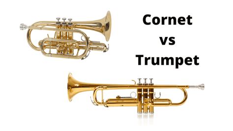 A Guide To The Different Parts Of A Trumpet Vlrengbr