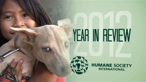 Humane Society International Year In Review 2012 Youtube