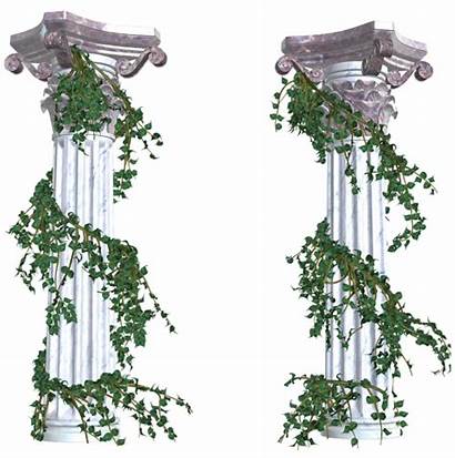 Vines Columns Decorative Elements Clipart Clip Transparent