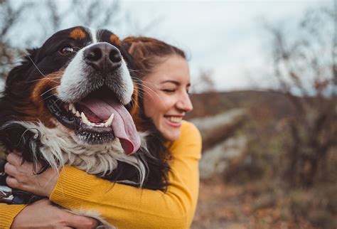 Dog Lovers Connect And Find Pup Approved Love Animal Health Institute