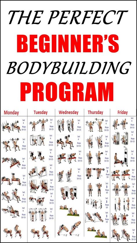 THE PERFECT BEGINNERS BODYBUILDING PROGRAM Bodybuilding Program Workout Routine For Men