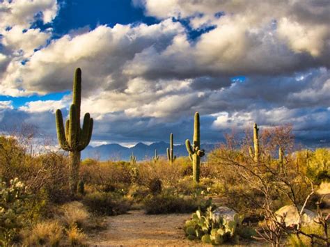 United states, phoenix, 4555 east cactus road. Arizona Road Trip - The Ultimate 10 Day Itinerary | The ...