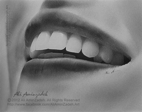 Beautiful Teeth Drawing Teeth Drawing Drawings Pencil Illustration