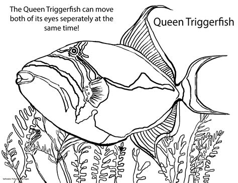 Saltwater Fish Coloring Pages At Free Printable