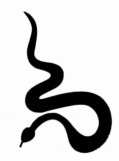 Snake Google Clipart Transparent Stencil Flower Template