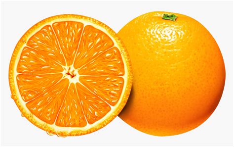 Orange Png Image Free Download Orange Slice Vector Png Transparent