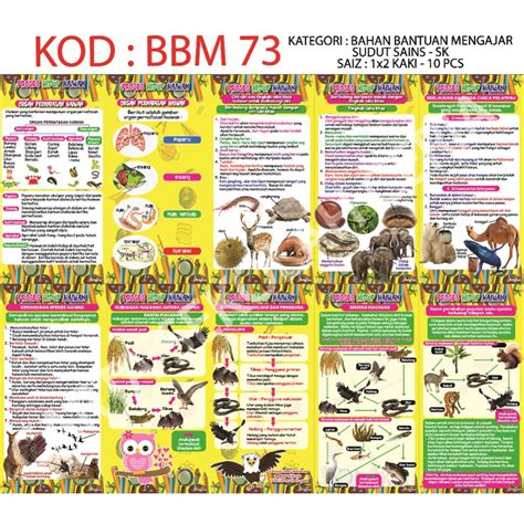 Bbm73 10pcs Poster Sudut Sains Sk Proses Hidup Haiwan Shopee Malaysia