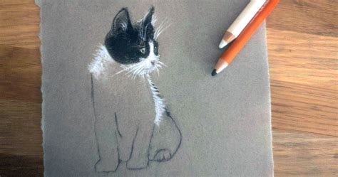 The images above represents how your finished drawing is going to look and the steps involved. How to Draw Cats | Small Online Class for Ages 8-12 ...