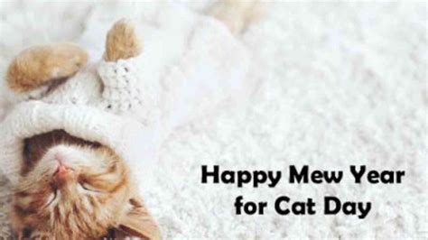 Happy Mew Year For Cats Day 2023 History Significance And Fun Facts
