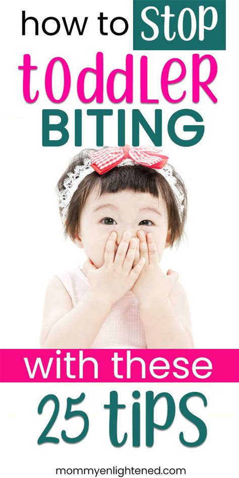 Toddler Biting Simple Steps To Understand And Prevent The Behavior