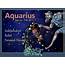 Aquarius Horoscope For January 13 2021  Wednesday